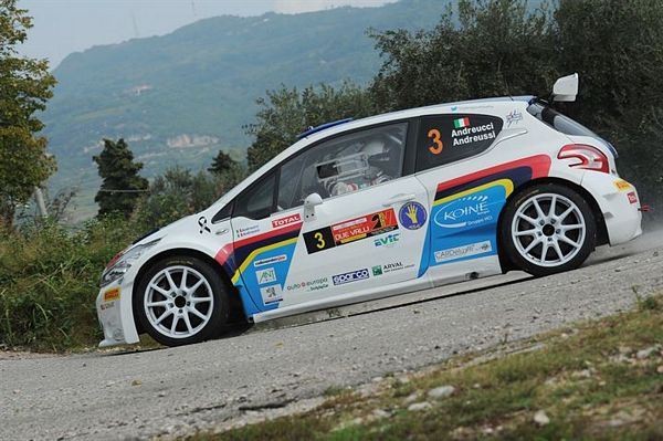 Andreucci Andreussi Peugeot 208 Rally due Valli