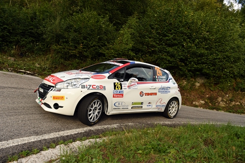 Trevisani Alpi Orientali Peugeot Competition 208 Rally Cup Top