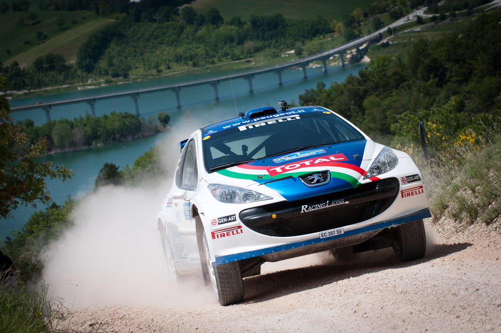 Rally Adriatico Andreucci-Andreussi Peugeot 207 S2000 