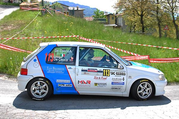 Rally 1000 Miglia De Cecco
