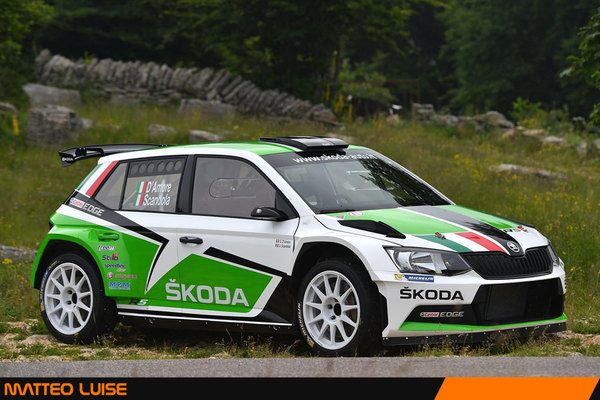 Matteo Luise rinvia il debutto sulla Skoda Fabia R5